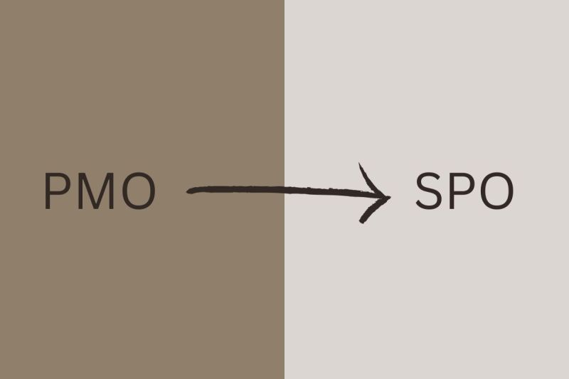 PMO di Era AI: Upgrade ke Strategic Project Officer